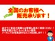 日産 セフィーロワゴン 2.0 20 クルージング スポーティパッケージ ユーザー買取車 ETC 社外オーディオ 車高調 栃木県の詳細画像 その2