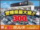 ホンダ N-BOX カスタムL特別仕様車スタイル+ブラック  愛媛県の詳細画像 その3