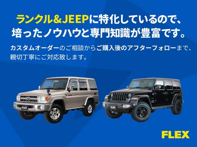 1995 Toyota LAND CRUISER 80 缩略图 44