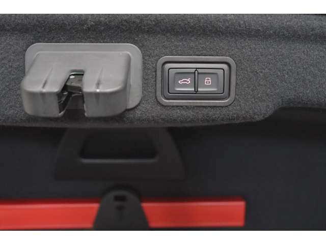 【クローザースイッチ・ロックスイッチ】テールゲートをお好みの位置まで開くように調整が可能です。スマートキーを携帯しロックスイッチを押しテールゲートを閉じると、すべてのドアを施錠することが可能です。