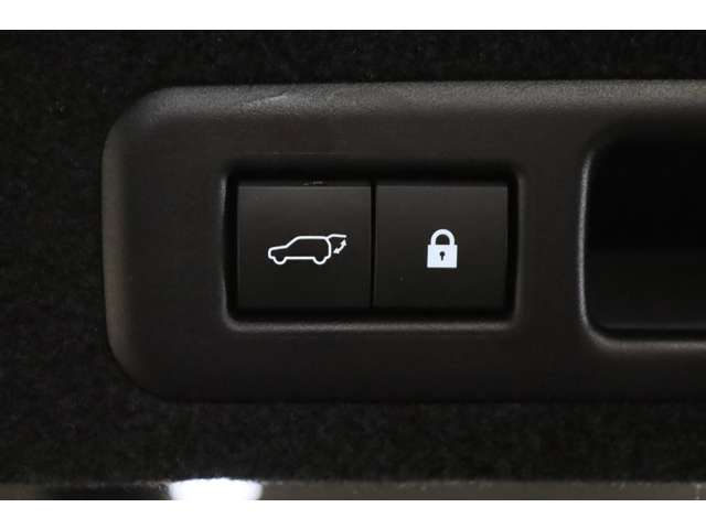 【クローザースイッチ・ロックスイッチ】テールゲートをお好みの位置まで開くように調整が可能です。スマートキーを携帯しロックスイッチを押しテールゲートを閉じると、すべてのドアを施錠することが可能です。