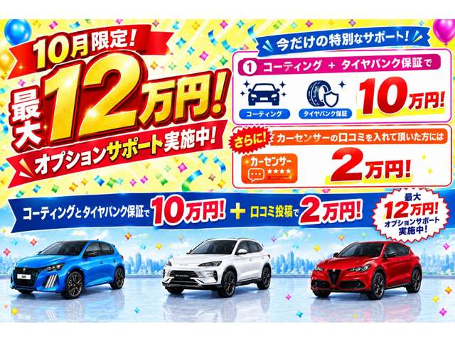 �����Ўw��I�v�V�����ő�12���~�T�|�[�g���{�����ڂ����͕��В��ÎԒS���܂ł��A���������܂��I