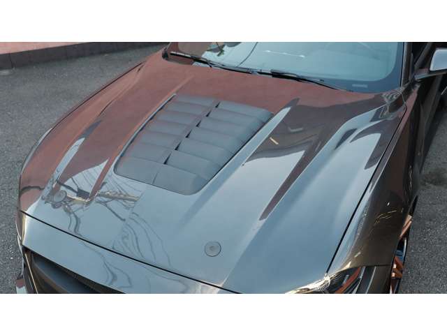 フォード マスタング GT V8 ワイドボディ GT500エアロ エアサス 埼玉県の詳細画像 その12