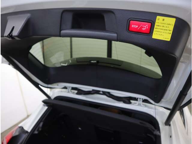 オプションのEASY-PACK自動開閉テールゲートは、運転席のスイッチやエレクトロニックキーで電動開閉。テールゲートが開く高さを好きな位置でメモリーできるので、天井の低い駐車スペースでも安心です。